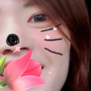 せなりなちゃんのプロフィール画像